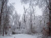 Ice On Trees / Broken Tops